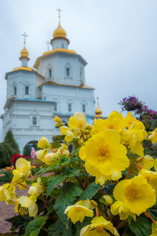 Паломничество по святым местам Сумщины | Фото 8