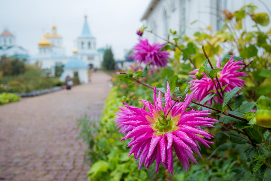 Паломничество по святым местам Сумщины | Фото 14