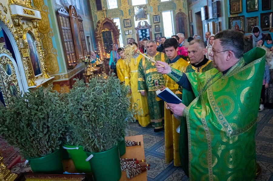 ВХОД ГОСПОДЕНЬ В ИЕРУСАЛИМ | Фото 12