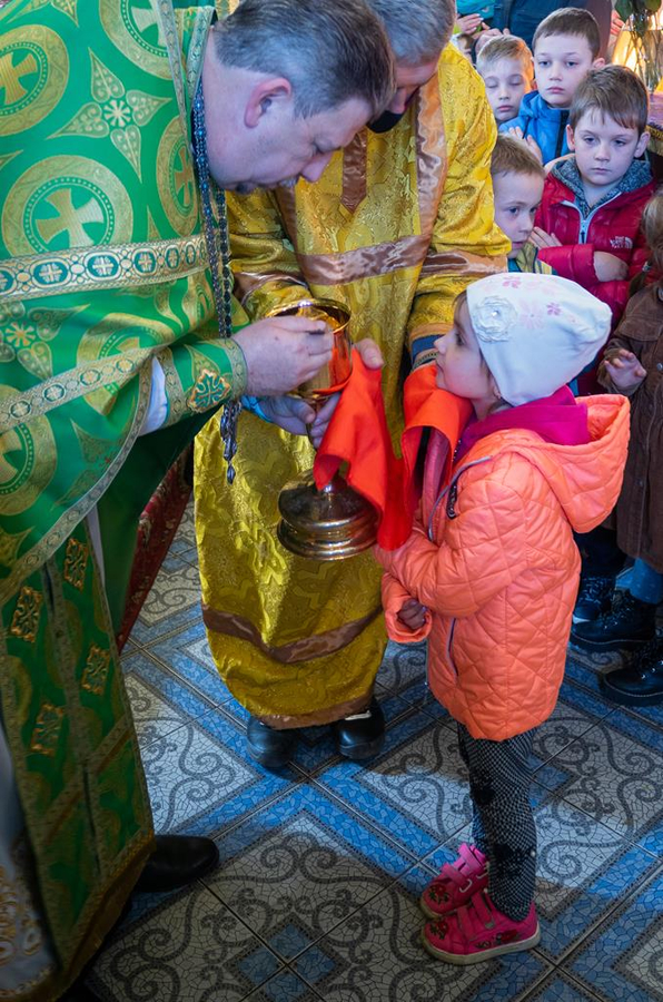 ВХОД ГОСПОДЕНЬ В ИЕРУСАЛИМ | Фото 30