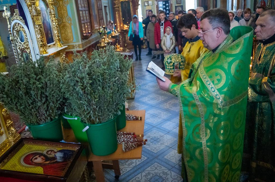 ВХОД ГОСПОДЕНЬ В ИЕРУСАЛИМ | Фото 11