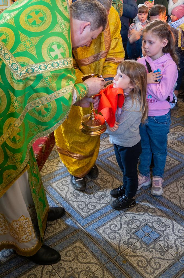 ВХОД ГОСПОДЕНЬ В ИЕРУСАЛИМ | Фото 34