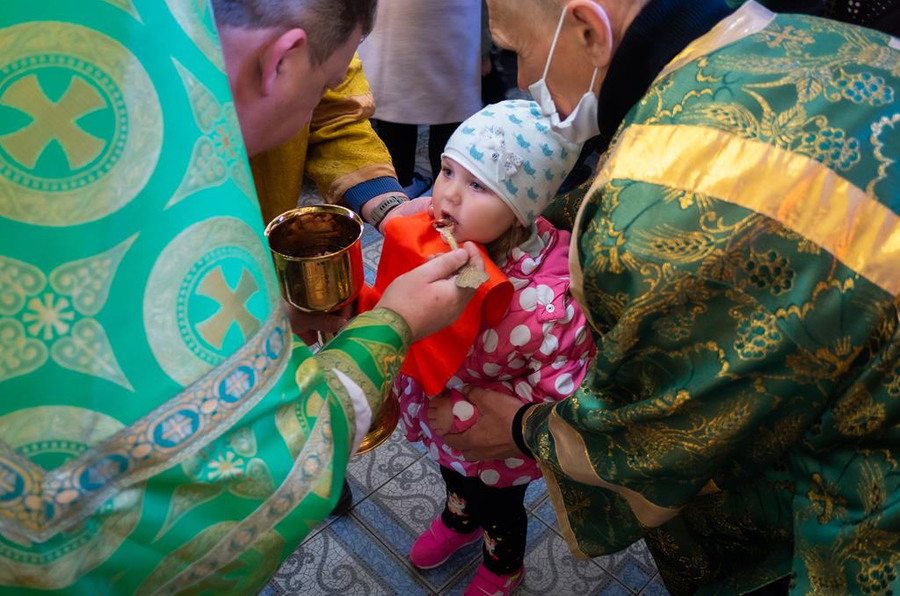 ВХОД ГОСПОДЕНЬ В ИЕРУСАЛИМ | Фото 27