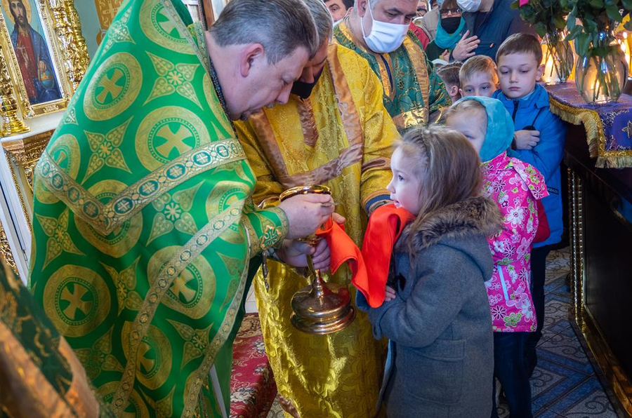 ВХОД ГОСПОДЕНЬ В ИЕРУСАЛИМ | Фото 32