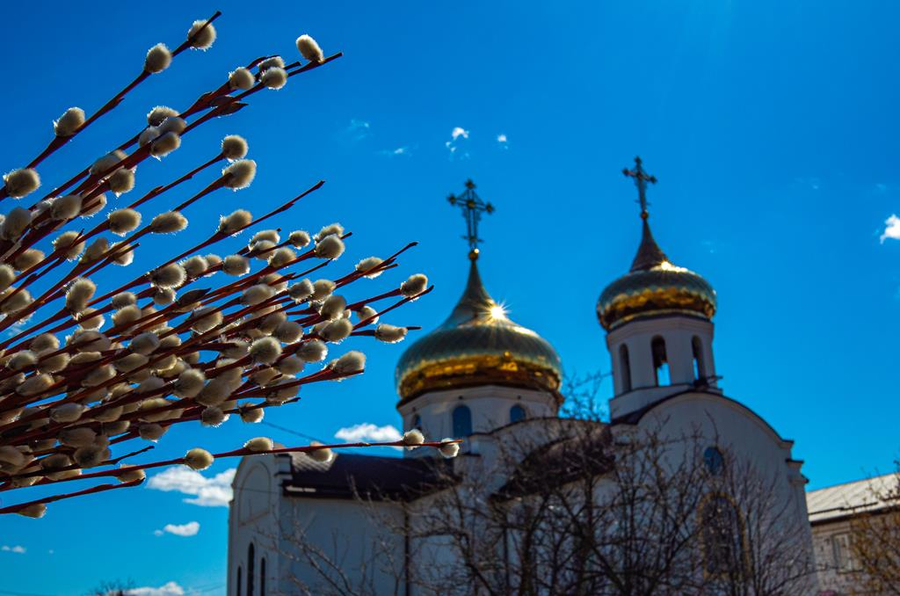 ВХОД ГОСПОДЕНЬ В ИЕРУСАЛИМ | Фото 15