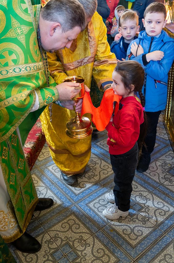 ВХОД ГОСПОДЕНЬ В ИЕРУСАЛИМ | Фото 33