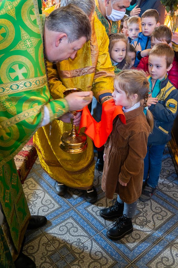 ВХОД ГОСПОДЕНЬ В ИЕРУСАЛИМ | Фото 31