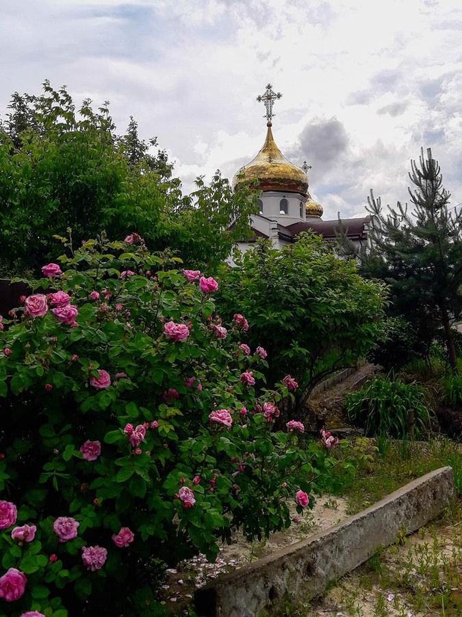 Молебен о мире в Украине (Пятница, ФОТО) | Фото 2