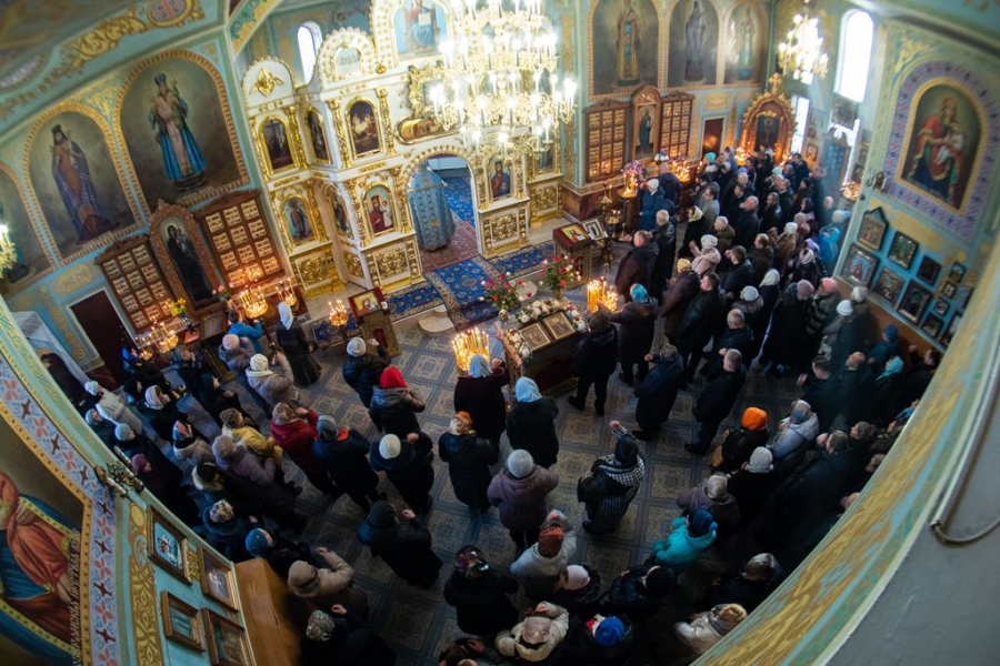 Введення у храм Пресвятої Владичиці нашої Богородиці і Приснодіви Марії (ФОТО) | Фото 9