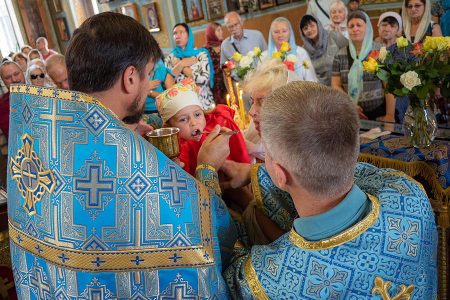 Успіння Пресвятої Владичиці Нашої Богородиці та Приснодіви Марії (ФОТО) | Фото 22