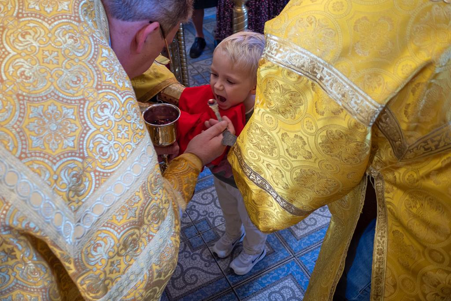 Неділя 14-а після П'ятидесятниці (ФОТО) | Фото 22