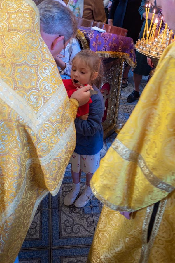 Неділя 14-а після П'ятидесятниці (ФОТО) | Фото 21