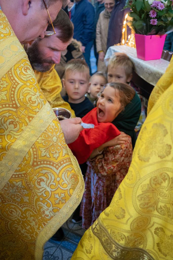 Неділя 20-а після П'ятидесятниці (ФОТО) | Фото 24