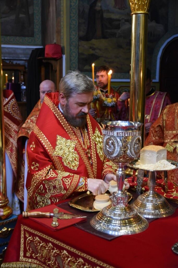 День пам’яті святих священномучеників землі Слобідської (ФОТО) | Фото 11