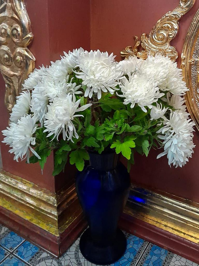 Неділя 25-а після П'ятидесятниці (ФОТО) | Фото 14