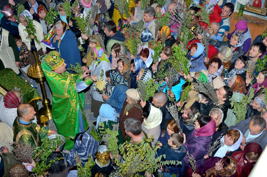 ВХОД ГОСПОДЕНЬ В ИЕРУСАЛИМ (ФОТО) | Фото 23