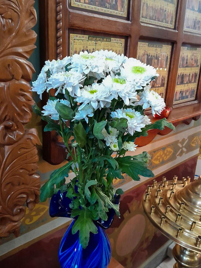 Собор вселенських вчителів і святителів Василія Великого, Григорія Богослова та Іоанна Златоуста (ФОТО) | Фото 19