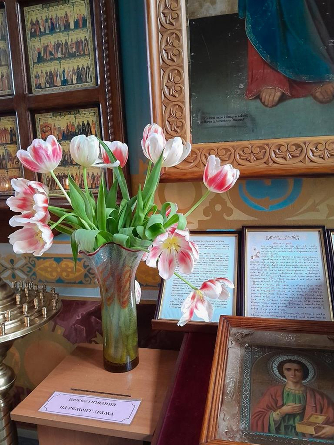 МАСЛОСОБОРУВАННЯ (ФОТО) | Фото 17